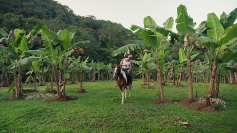 Inside Diplo's Jamaican Jungle Paradise