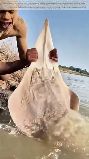 Decoying the Catch: How a Small Fish Lures a Larger Predator