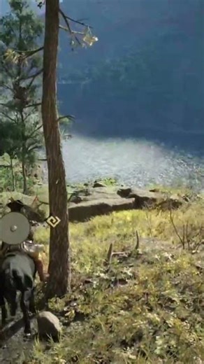 Taming and breaking wild horses on Crimson Desert made easy