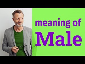Male | Meaning of male