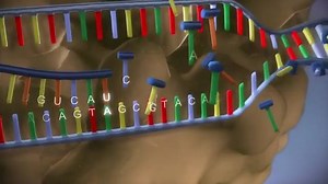 4.7K views · 113 reactions | A very short way to understand formation of protein From DNA | Gpat Discussion Center | Facebook