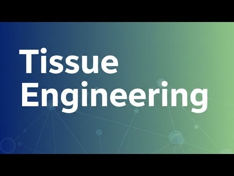 Tissue Engineering