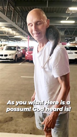 SpiritualHypnosis - Self-enquiry, LifePurposes, & SoulConnction on Instagram: "Yesterday, Ekomananda was asking what does a possum look like? Today, we found one at centre market car park! Can you believe it? God hears us, nothing is accident! Grace responds in the most magic way #ekomananda #godishere #wisdomofmasters #adveita #consciousness #unconditionallove #NonDuality #sunyata #TheAbsolute #GodHearsUs #DivineResponse #GraceInEverydayLife #SacredOrdinary #LivingPrayer #TrustGod #FaithInActio