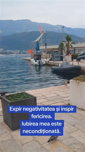 Eliberez frica,iubirea mă ghidează de acum încolo,am încredere în ea. #iubire #manifestare #fyp #dorinte