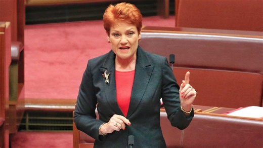 Pauline Hanson under fire for 'bigoted' call to remove children with disabilities from mainstream classrooms