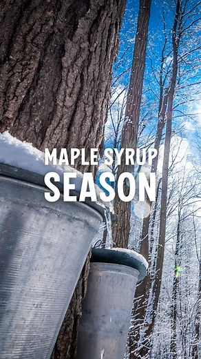 17K views · 74 reactions | Spring is here, and with it comes...