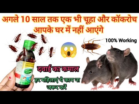 कॉकरोच भगाने का सबसे आसान तरीका | Cockroach Killer | Remedy | Get Rid Of Cockroach | Medicine | 2026