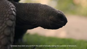 1.5K views · 52 reactions | Meet some of the incredible wildlife that...