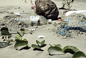 Sources and Causes of Water Pollution - Paperblog