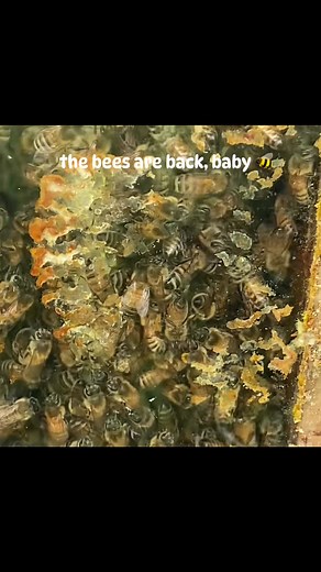 Common Unity on Reels