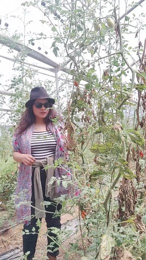 10K views · 406 reactions | Israel Farm! #israelcaregiver | Vivi In Holy Land | Facebook