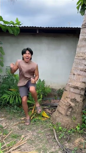 Jumping Jumping… Tree Said “STOP!” 😂🌳