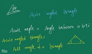 What is an acute angled triangle?(1) ... | Filo
