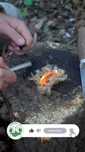 Lighting a fire with a magnesium rod #camping #bushcraft #survival #asmr #diy #diyproject