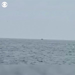 While out fishing with his three daughters, Robert Addie caught something so rare even marine scientists are jealous – a “whale ballet” featuring three humpback whales leaping from the water in near-perfect unison. 🐋 🐋 🐋 https://rb.gy/nhrew | KWTX News 10