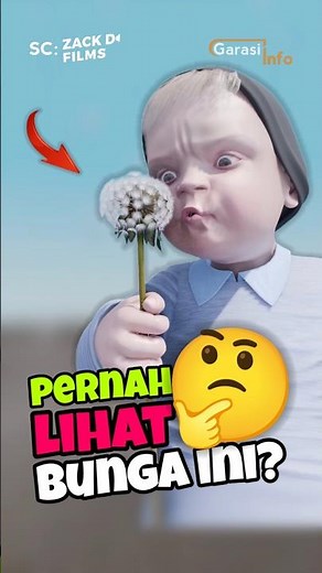 DANDELION FLOWERS spread very fast 🤔 #shorts