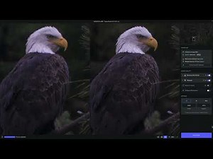 Topaz Short: Using Topaz Photo AI with your RAW images in a standalone workflow