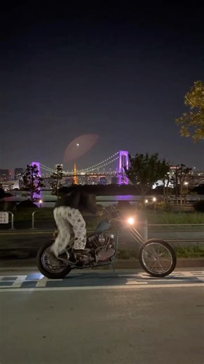 Tokyo Bay, City Lights, and the Panhead. Pure Magic🪄︎︎✨ #panhead #vintageharley #お台場 #tokyo