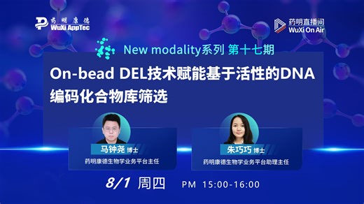 New Modality系列(十七)：On-bead DEL技术赋能基于活性的DNA编码化合物库筛选