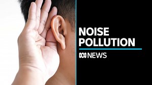Finding backs WHO warning noise pollution second-greatest health risk