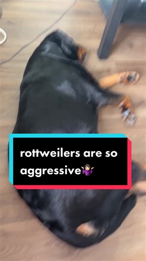 Understanding the Behavior of Rottweilers