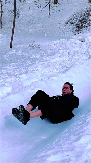 Lambs and Cheetahs: Nature's Fascinating Connection