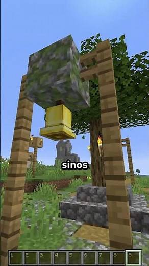 Java vs Bedrock.