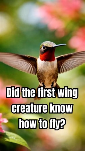 Learning through reflection #psychology #evolution #fly #organism #theory