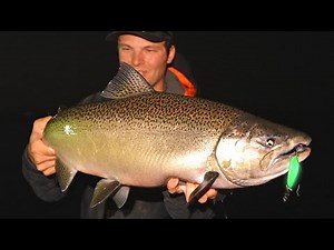Casting GLOW SPOONS AT NIGHT for King Salmon! (Pier Fishing on Lake Michigan)