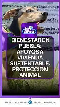 Puebla implements comprehensive actions for social development | Indigo Report