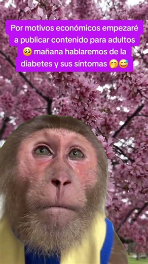 #tutorial #humor #memes #comedia #comentaycomparte #mono #monkey #fypシ #automobile #dúo #reels