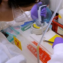 Video: Determining Binding Affinity KD of Radiolabeled Antibodies to Immobilized Antigens