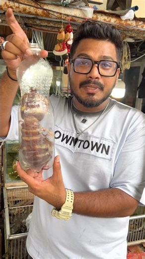 Most Dangerous Animal on Earth😱Man Hunt😰 #shorts #seafood #thailand