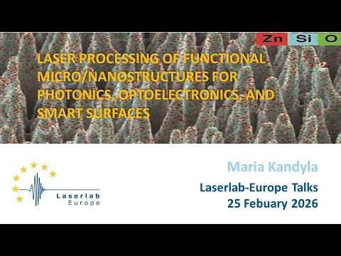LLE Talks: Laser processing of functional micro/nanostructures for photonics and optoelectronics