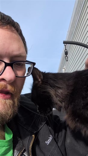 Say hello to my little friend! We call her Midnight. #fyp #catsoftiktok #straycat