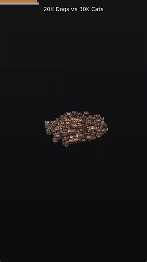 20K Dogs vs 30K Cats (GPU)