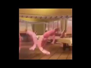 Dancing shrimp for 1 hour