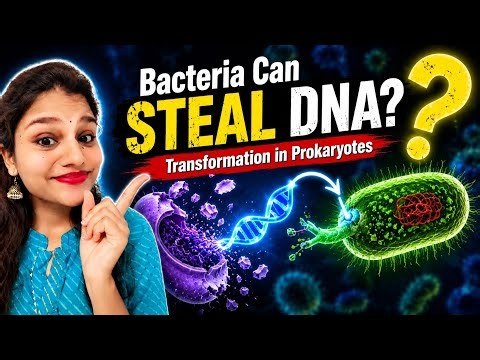 Transformation in Prokaryotes Explained | Horizontal Gene Transfer#transformation #prokaryotes
