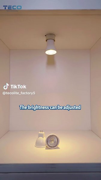 tecolite_factory5 on TikTok