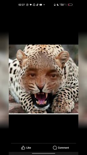 Lloyd Radebe - Abaphile Abantu (@lloydradebeprophet)’s videos with original sound - HLUBI