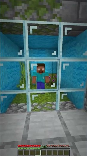 I Saved My Dog from the Tsunami 🤯😨 #minecraft