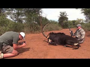 A Typical Hunting Day at Africa Hunt Lodge – Your Ultimate South African Adventure