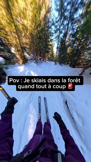 Il me vole ma caméra pendant que je skiais dans la forêt 🌲🚨⛷️ Je pars en course poursuite avec ce skieur fou… 😤 🎥 @insta360 official X5 #ski #voleur #insta360 #insta360x5 #sportstiktok