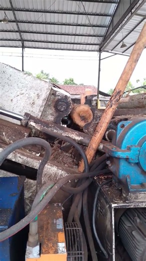 Log debarking for veneer production #logdebarker #veneerproduction #veneerfactory