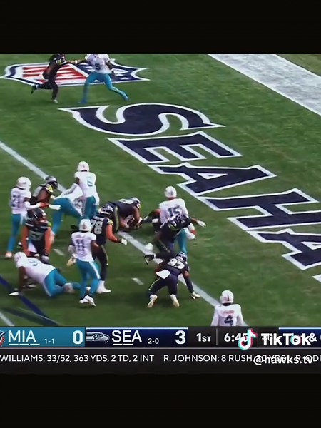 Seattle Seahawks VS Miami Dolphins NFL Game Highlights