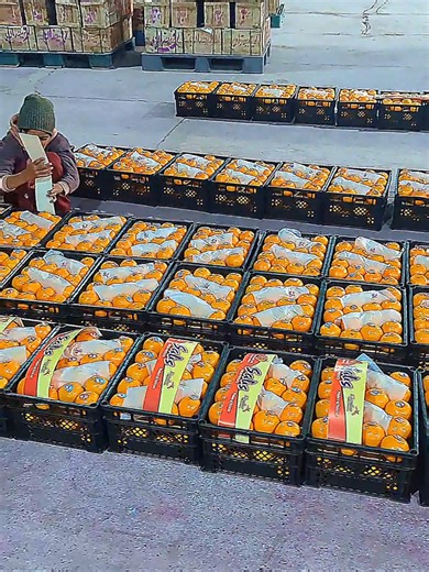 Exploring Tongue TikTok Trends and Fun Challenges