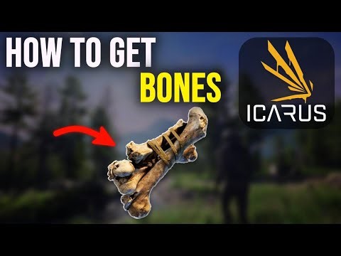 ICARUS Tutorial | How to Get Bones (Beginner Guide) 2026