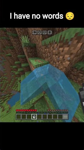 i have any word 😔 #minecraft #shortvideo