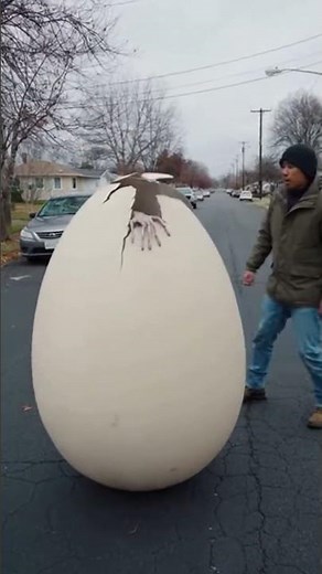 OMG 😱 Something Was Inside This Egg