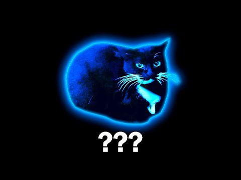 15 "Maxwell the Cat" Sound Variations in 30 Seconds